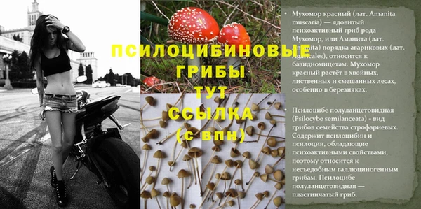 мяу мяу мука Беломорск