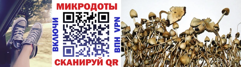 Псилоцибиновые грибы Magic Shrooms  МЕГА зеркало  Невель 