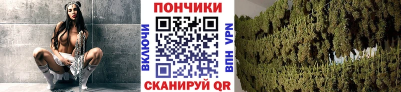 Бошки Шишки Bruce Banner  Невель 